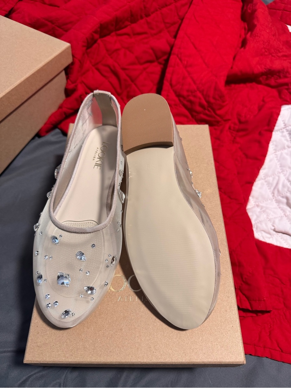 Embellished Nude Mesh Ballet Flats with Crystal Accents - Picture 7 of 7